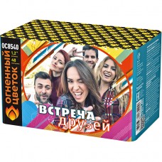 ОС8540 Батарея салютов Встреча друзей  (1,2"х48)